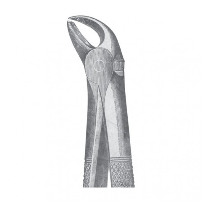 EXTRACTING FORCEPS 'ENGLISH PATTERN'