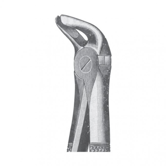 EXTRACTING FORCEPS 'ENGLISH PATTERN'