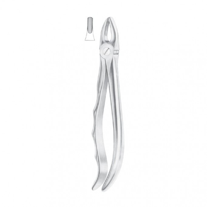 EXTRACTING FORCEPS 'ENGLISH PATTERN'