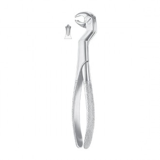 Wisdom Extracting Forceps