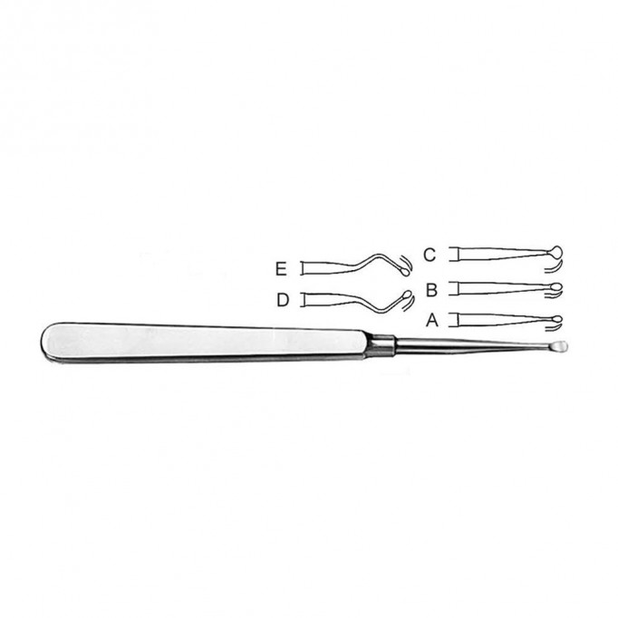 Molt Bone Curette