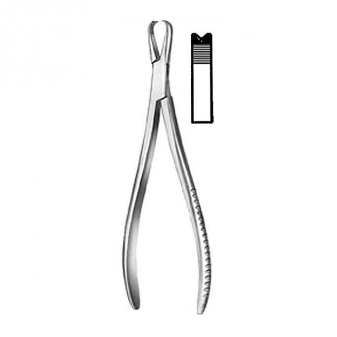 Bone Holding Forceps