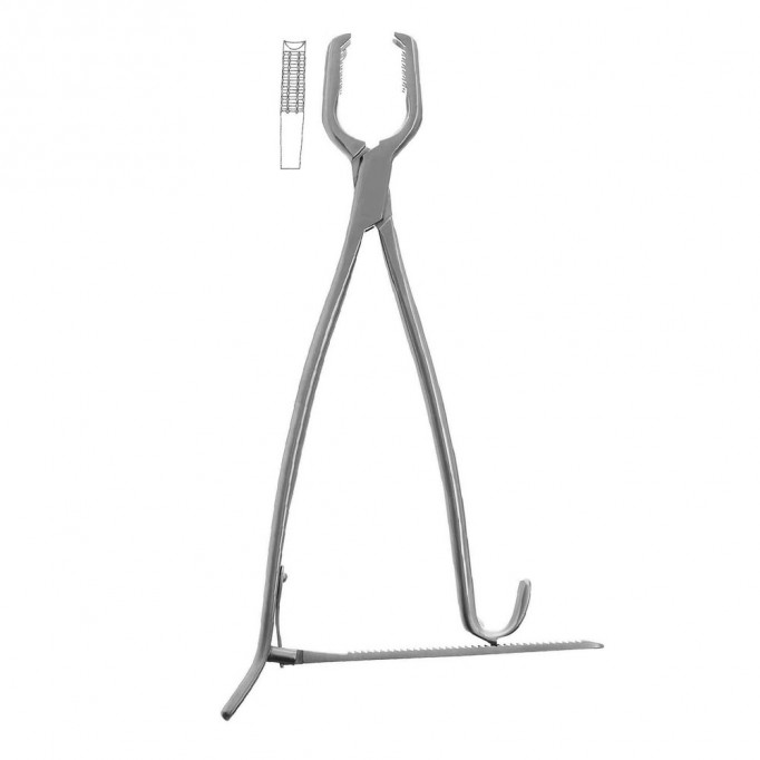 Lane Bone Holding Forceps