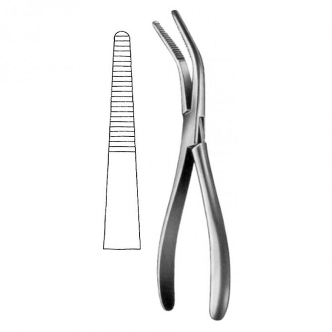 Van Buren Bone Holding Forceps