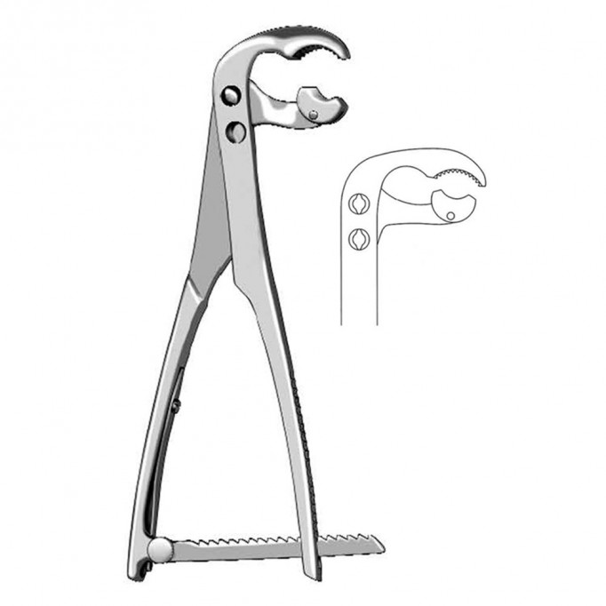 Angled Bone Holding Forceps