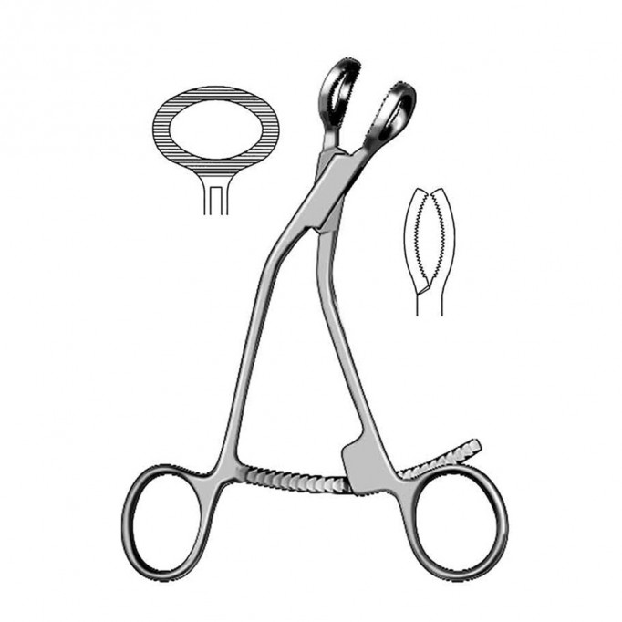 Bishop Bone Holding Forceps