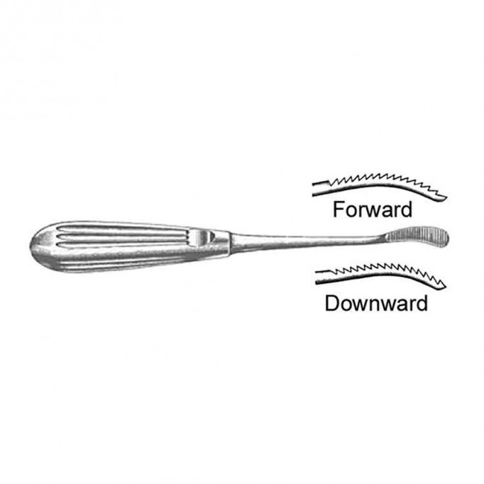 Bone Rasp Aufrieht