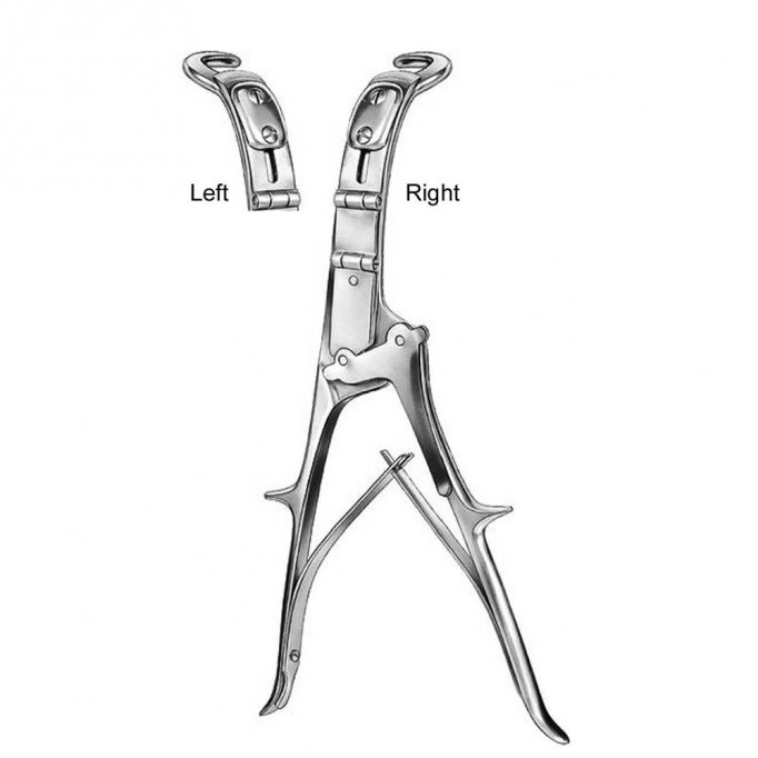 Brunner Rib Shear